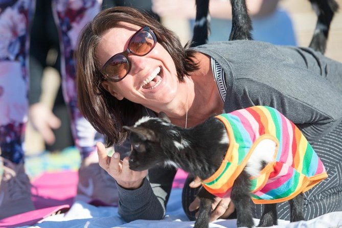 Goat and Alpaca Yoga in Arizona - The humor helps keep the class moving