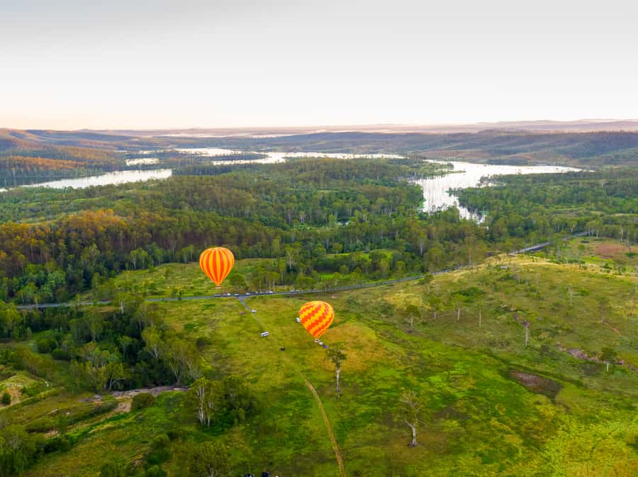 Gold Coast: Hot Air Balloon Flight+Vineyard Breakfast+Alpaca - Who will enjoy this most
