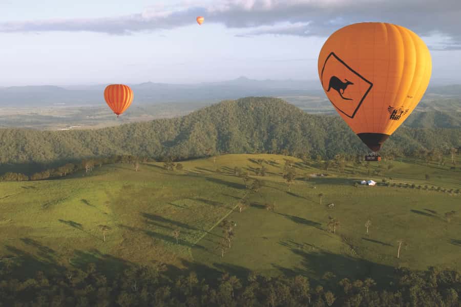 Gold Coast: Hot Air Balloon Flight+Vineyard Breakfast+Alpaca - O’Reilly’s Canungra Valley Vineyards for breakfast
