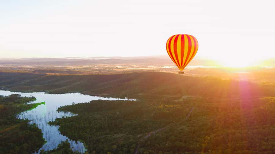 Gold Coast: Hot Air Balloon Flight+Vineyard Breakfast+Alpaca - The alpaca option and what it means