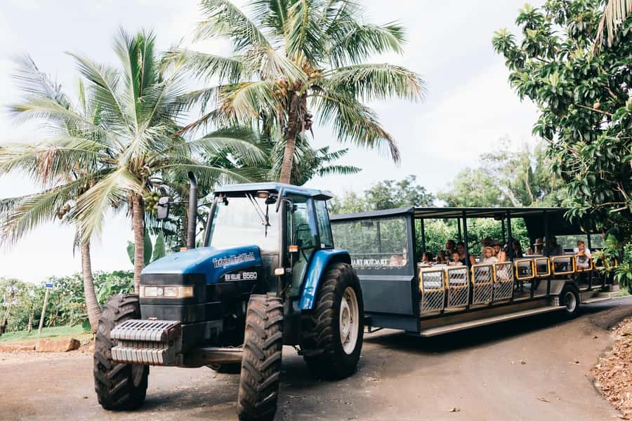 Gold Coast: Tropical Fruit World Full Farm Tour - The fruit tasting is the tour’s most memorable bite