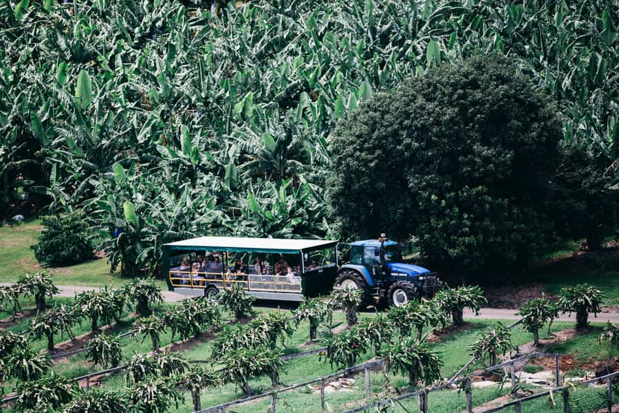 Gold Coast: Tropical Fruit World Full Farm Tour - Weather can change the balance of the visit