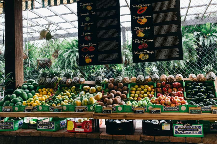 Gold Coast: Tropical Fruit World Full Farm Tour - Should you book Tropical Fruit World?