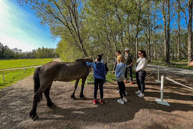 Golden Circle and Lunch at Fridheimar Tomato Farm - with photos - A small van makes a practical difference