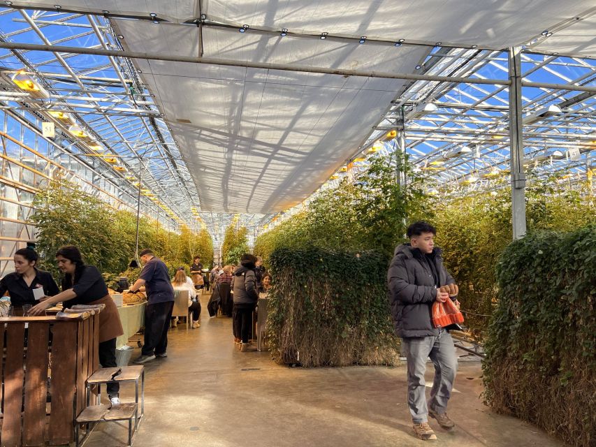 Golden circle, hot spring bakery, tomato farm private tour - Who will get the most from this day