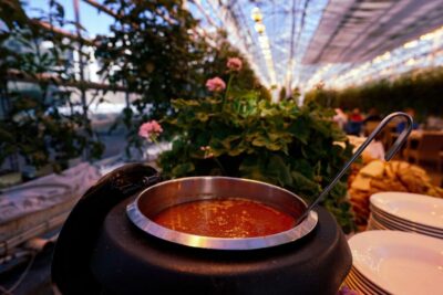 Golden Circle & Lunch at Fridheimar Tomato Farm- with photos
