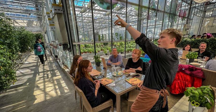 Golden Circle & Lunch at Fridheimar Tomato Farm- with photos - Food, photos, and the Icelandic horses