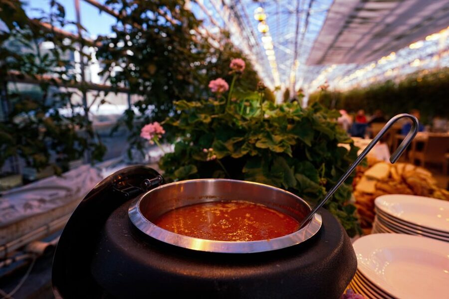 Golden Circle & Lunch at Fridheimar Tomato Farm- with photos - Starting at Þingvellir, where Iceland’s story begins