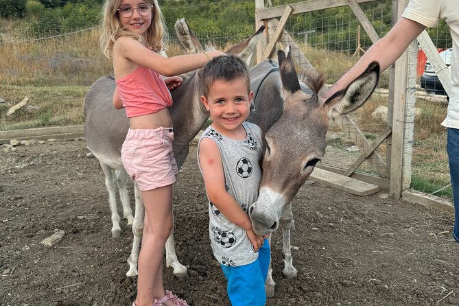 Gourmet Lunch Farm Tour with Cooking Class - Meeting goats, pigs, and gentle donkeys