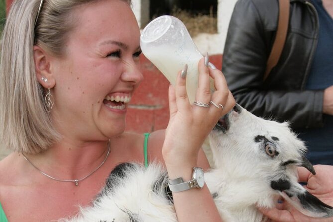Gourmet Lunch Farm Tour with Cooking Class - A six-course lunch at Bote Farms
