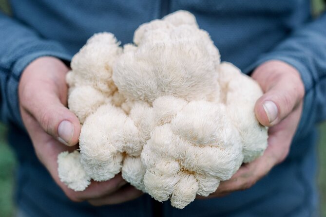Gourmet Mushroom Farm Tour in Tennessee - A working mushroom farm near Nashville