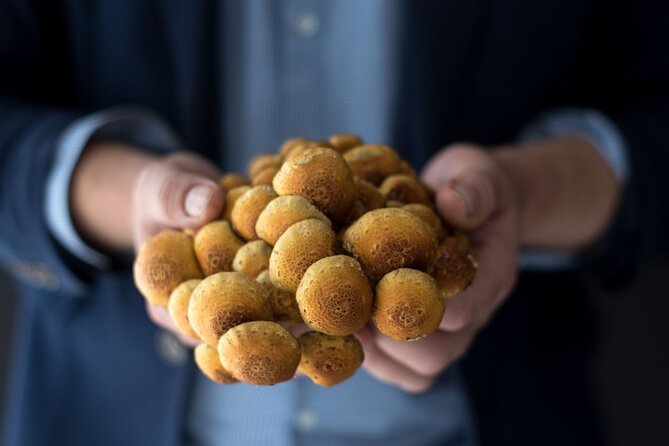 Gourmet Mushroom Farm Tour in Tennessee - Who will enjoy this experience most?