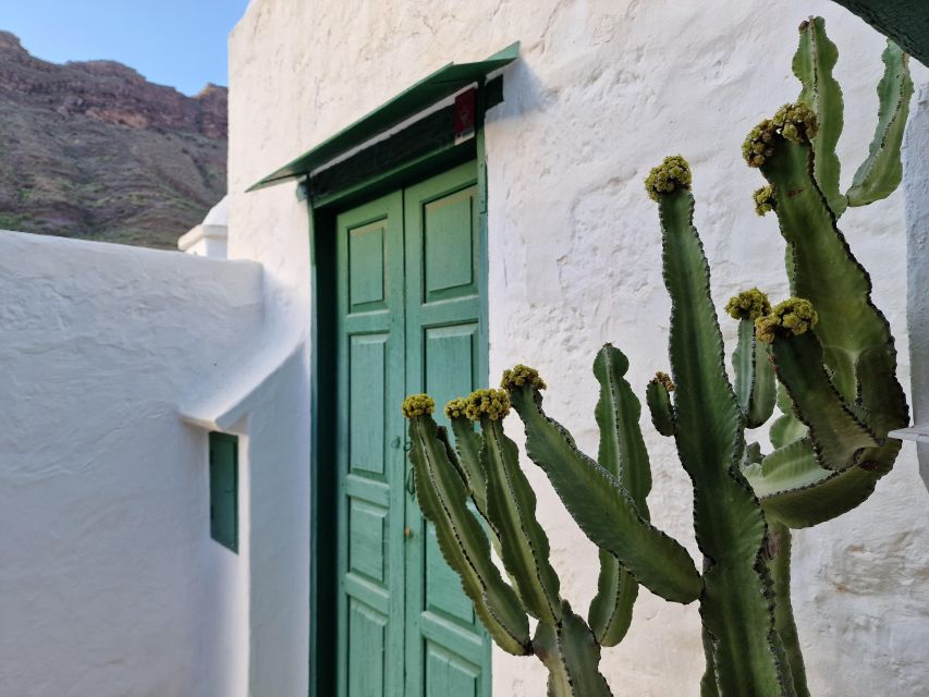 Gran Canaria historical house with mango plantation in Mogan - FAQ