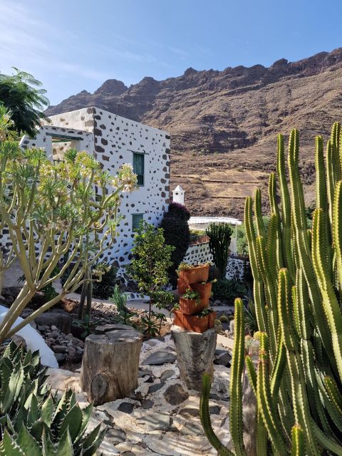 Gran Canaria historical house with mango plantation in Mogan - Gazpachuelo de mango is the clever finish