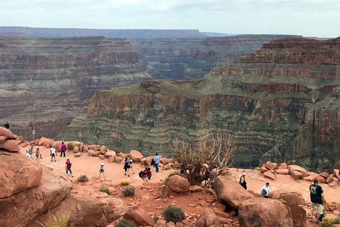 Grand Canyon West Skywalk Western Ranch Joshua Forest - Who should book this experience?
