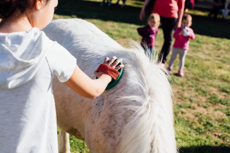 Grosseto: visit the family farm with tasting of local food - Booking flexibility and practical details