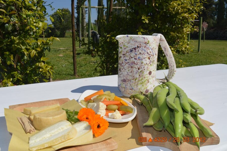 Grosseto: visit the family farm with tasting of local food - The final farm snack: useful value, with clear limits