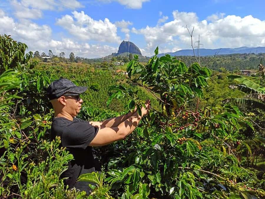 Guatapé & Coffee Farm, all in one day - Why this Medellín day trip works so well