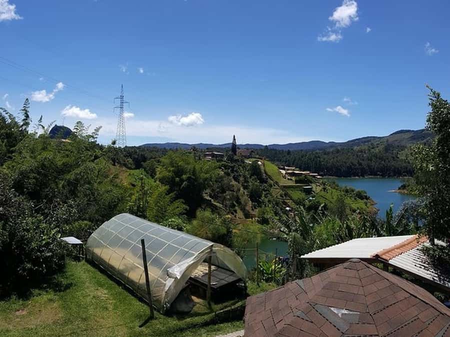 Guatapé & Coffee Farm, all in one day - Fruit tasting at the El Peñol market