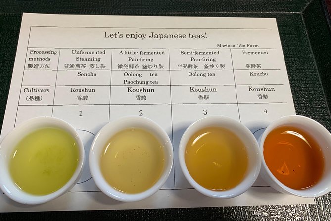 Guided Bike Tour to a Green Tea Farm in Shizuoka (not e-bikes) - Why this bike ride reaches a real tea farm