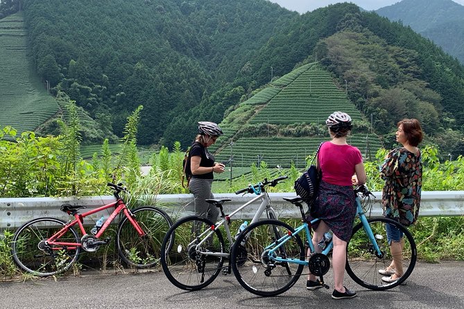 Guided Bike Tour to a Green Tea Farm in Shizuoka (not e-bikes) - The ride from JR Shizuoka Station