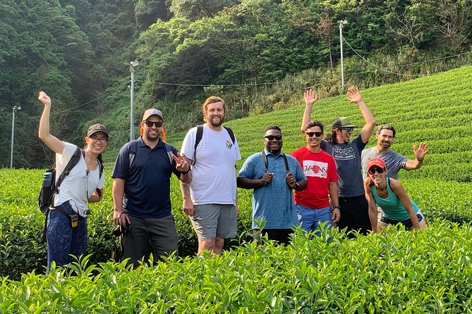 Guided Bike Tour to a Green Tea Farm in Shizuoka (not e-bikes) - Booking details worth knowing