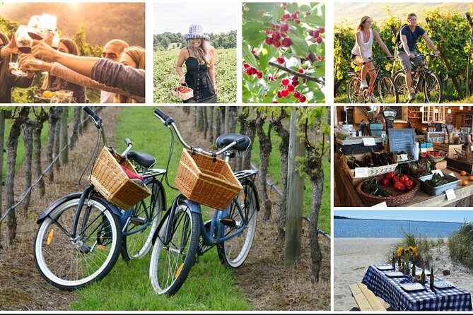 Guided Farm and Wine Country Bike Tour in Mattituck NY - Key points to know before booking