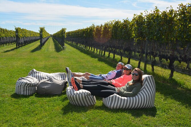 Guided Farm and Wine Country Bike Tour in Mattituck NY - Starting at 10:00 am with the right bike