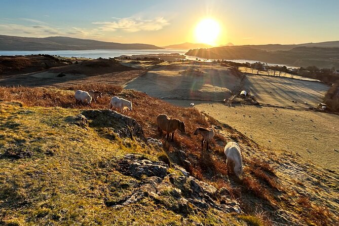 Guided Hebridean Farm Hike near Tobermory, Isle of Mull, Scotland - Timing, dates, and booking flexibility