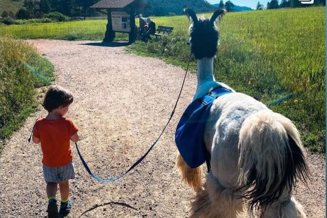 Guided Llama Hike in the Rocky Mountains - Key details for choosing this llama hike