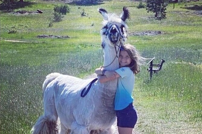 Guided Llama Hike in the Rocky Mountains - Finishing with llama photos and a hug