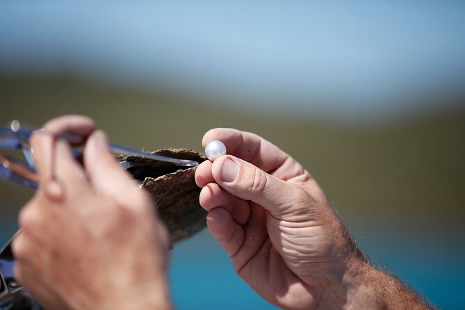 Guided Paspaley Pearl Farm Tour with Return Transfers - Key points to know before booking