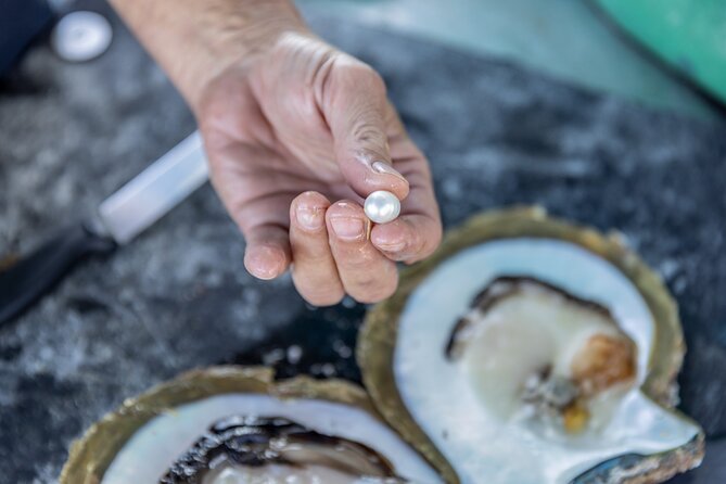 Guided Paspaley Pearl Farm Tour with Return Transfers - Why Paspaley’s Roebuck Bay farm matters to Broome