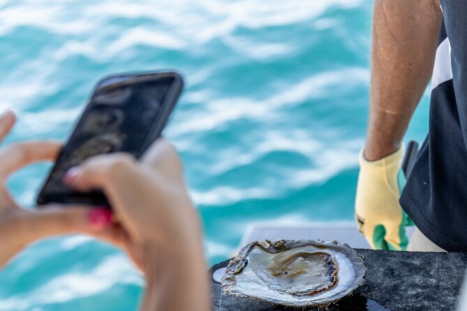Guided Paspaley Pearl Farm Tour with Return Transfers - The pearl-farming explanation, from oyster to boutique