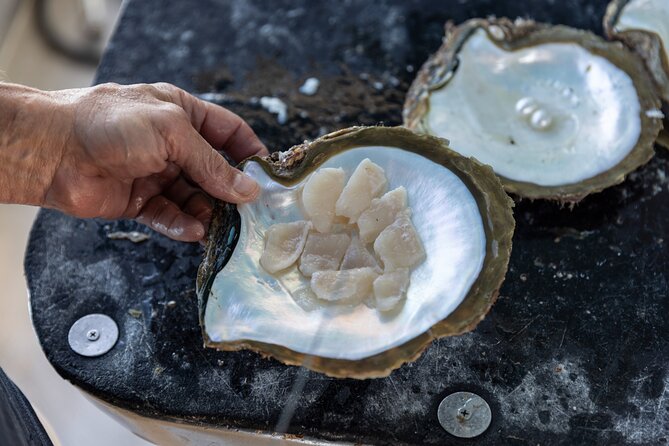 Guided Paspaley Pearl Farm Tour with Return Transfers - Weather, cancellations, and practical planning