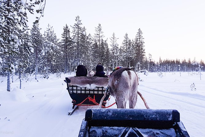 Guided reindeer farm visit and one hour sledge safari - One hour on the reindeer trail