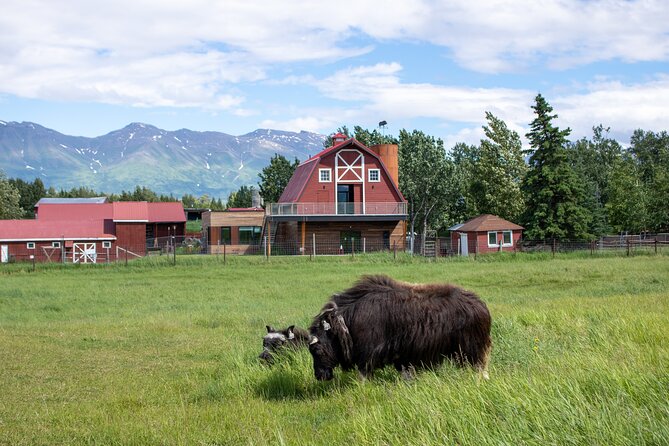 Guided Tour of Musk Ox Farm & Scenic Drive from Anchorage - Why the small group matters