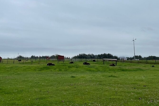 Guided Tour of Musk Ox Farm & Scenic Drive from Anchorage - Who will enjoy this Anchorage tour most?