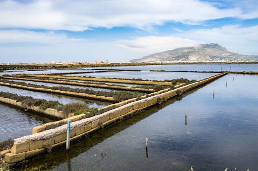 Guided tour of the Marsala Salt Pans and salt harvesting - Key points to know before you go