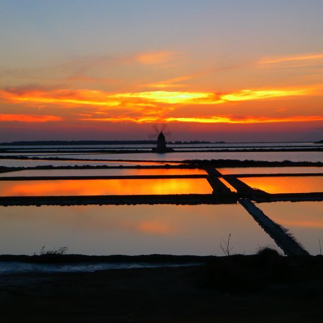 Guided tour of the Marsala Salt Pans and salt harvesting - Walking among tanks, canals, and salt piles