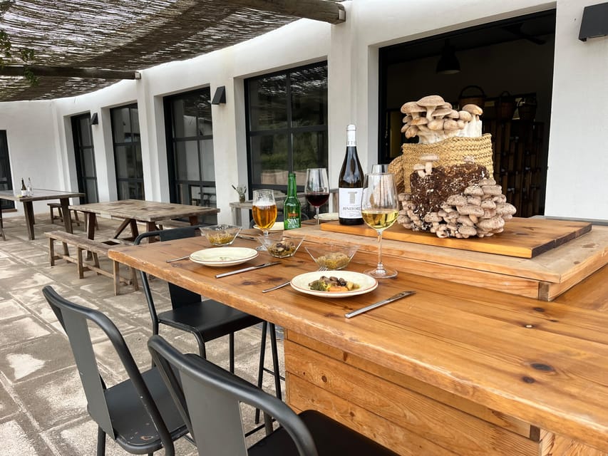 GUIDED TOUR + TASTE IN A MUSHROOM FARM - Why this mushroom farm is worth your time