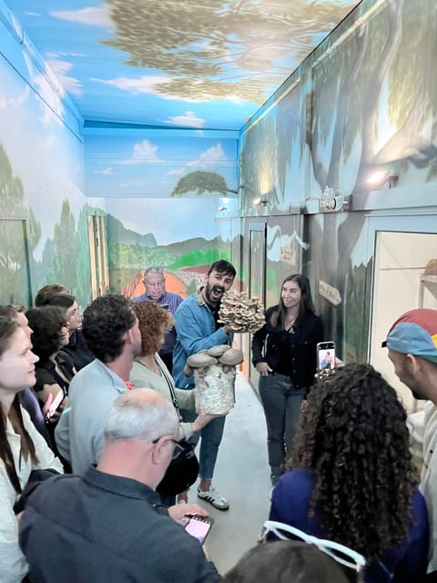 GUIDED TOUR + TASTE IN A MUSHROOM FARM - What the $23 price delivers