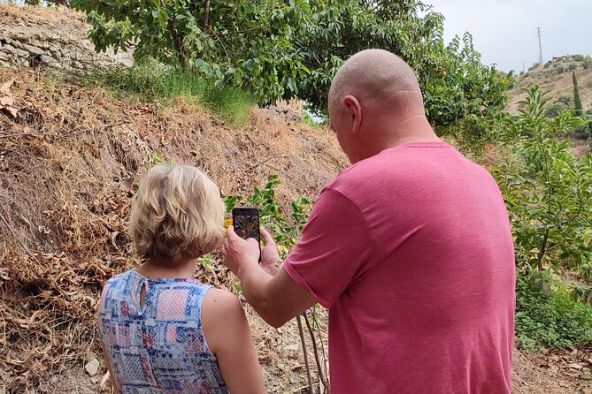 Guided Tour to the only coffee farm in Europe - Sustainable farming and closing the circle