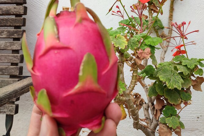 Guided Tour to the only coffee farm in Europe - Fruit purchases, tastings and what is not included