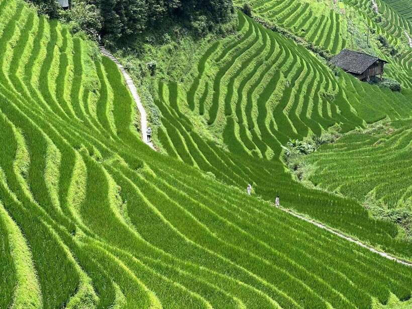 Guilin: Day tour of Longji Rice Terraces and Yangshuo - Starting the day from Yangshuo