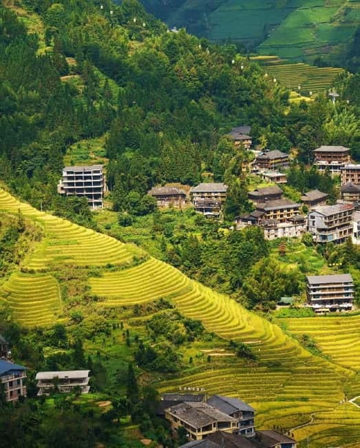 Guilin Longji: Rice Terrace with Oil-Tea Demo & Zhuang Lunch - Why this Longji day is worth your time
