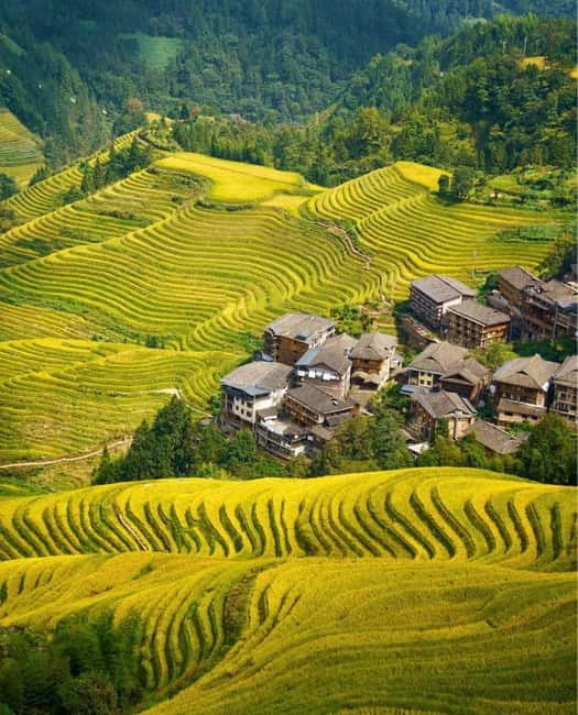 Guilin Longji: Rice Terrace with Oil-Tea Demo & Zhuang Lunch - Making Longji oil tea from roasted ingredients