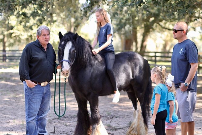Gypsy Gold Horse Farm Tour - Who will enjoy this most?