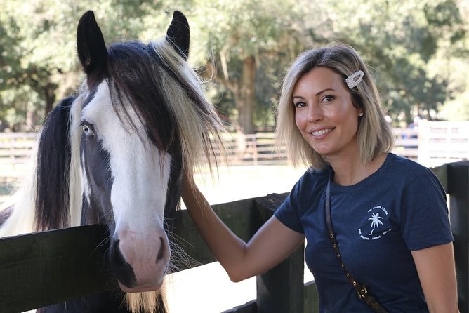 Gypsy Gold Horse Farm Tour - Practical timing and meeting details