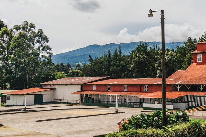 Hacienda Doka Coffee Experience Tour - Inside the processing area
